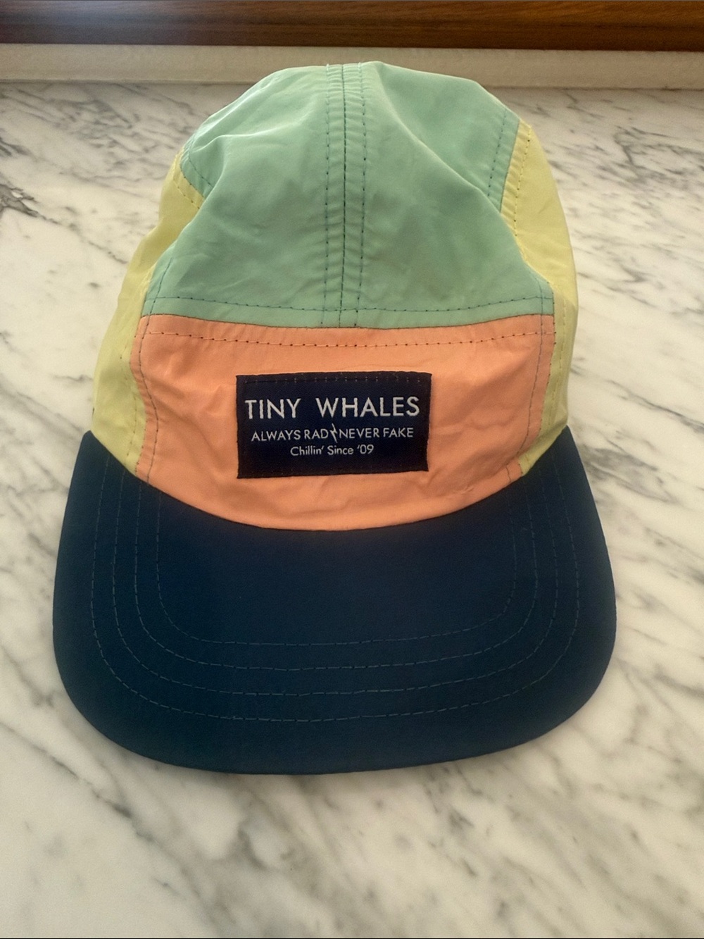Tiny Whales Colorblock Hat